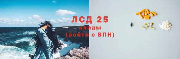 spice Аркадак