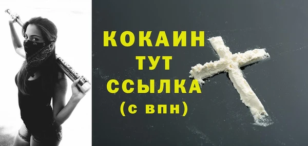 тгк Арсеньев