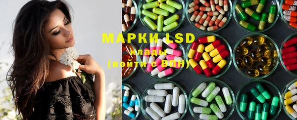 spice Аркадак