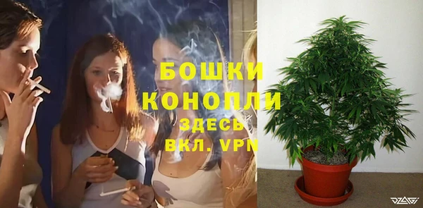 тгк Арсеньев