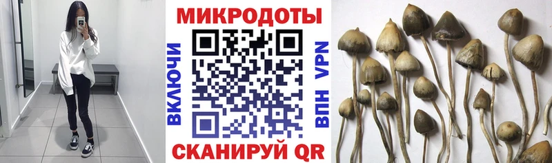 KRAKEN вход  Белёв  Галлюциногенные грибы MAGIC MUSHROOMS 